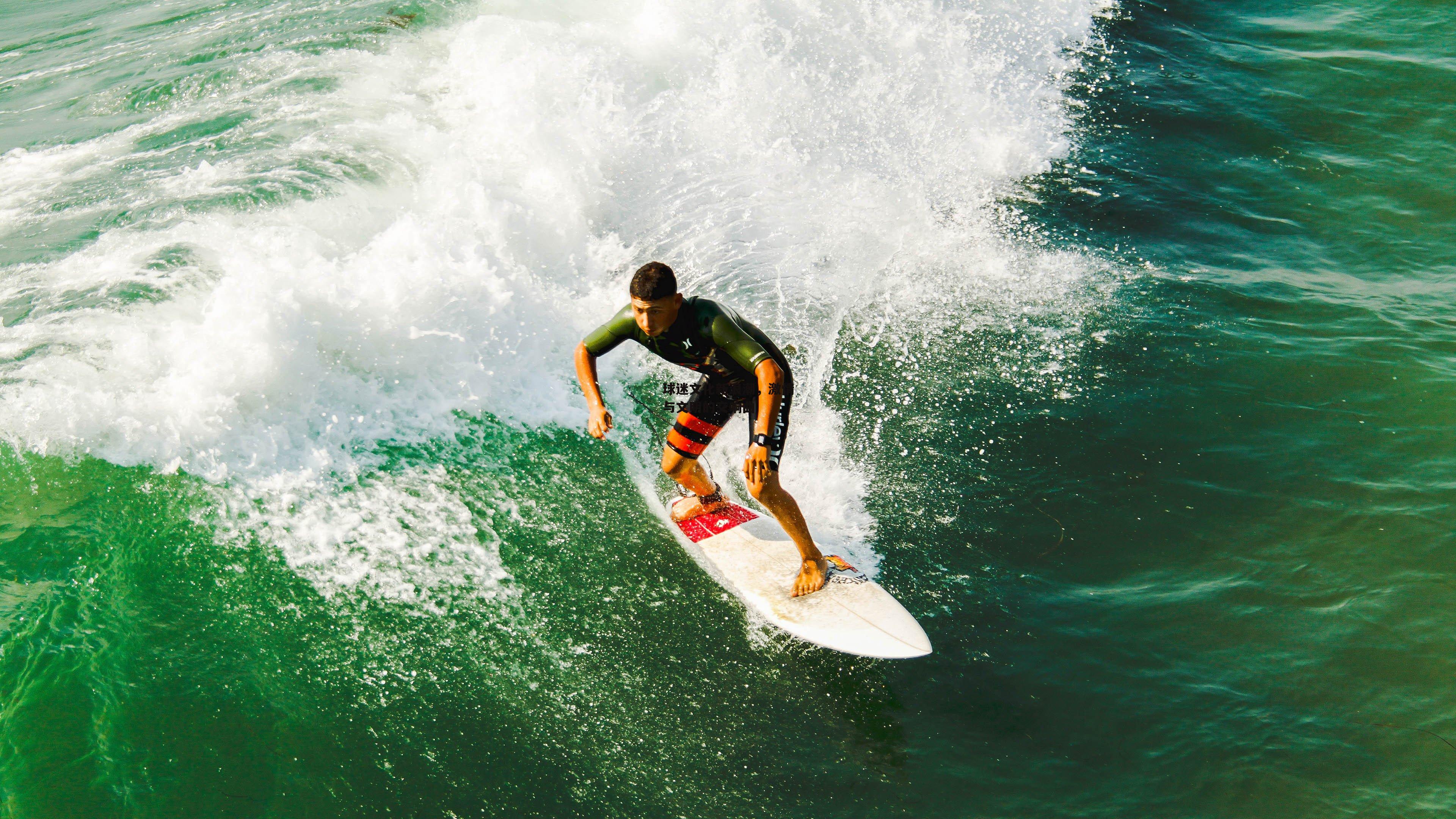 球迷文化新浪潮,激情与文明的交响曲