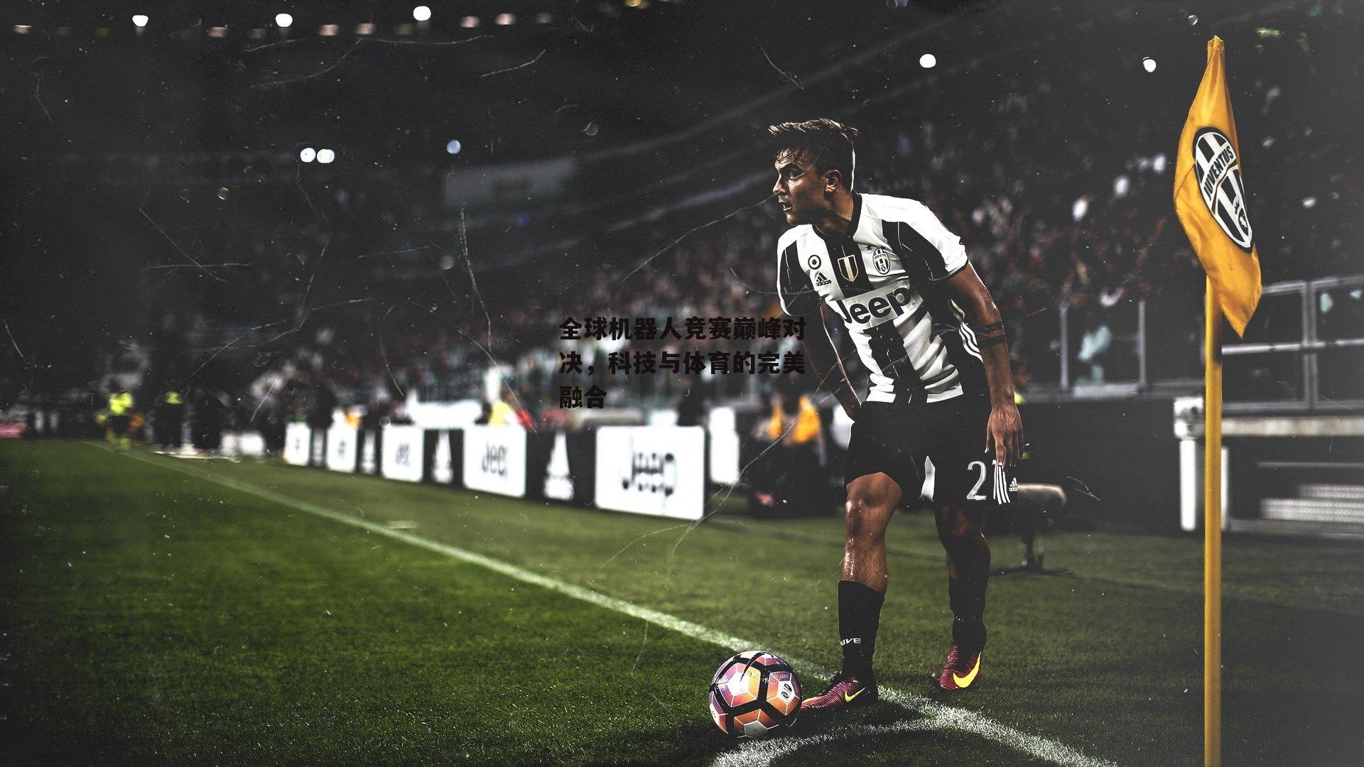 全球机器人竞赛巅峰对决,科技与体育的完美融合