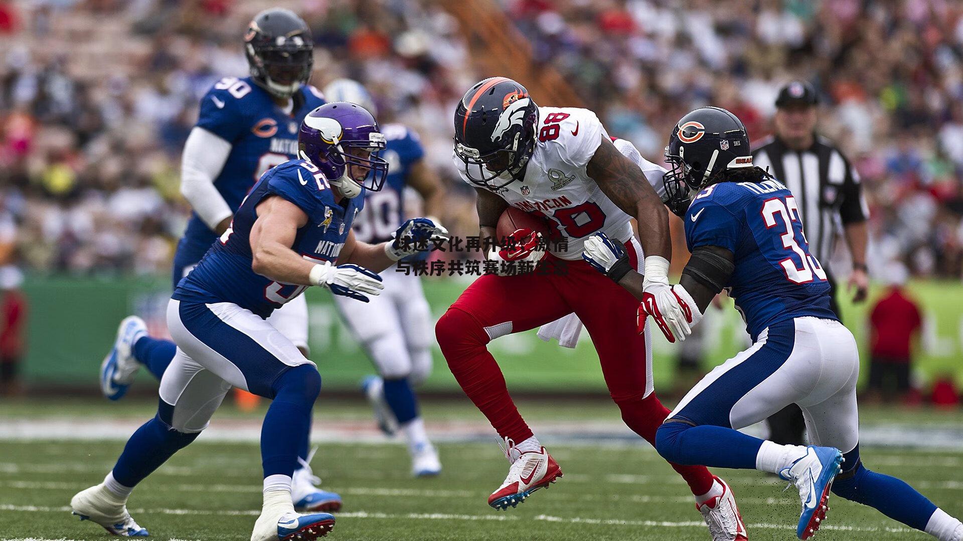 球迷文化再升级,激情与秩序共筑赛场新生态